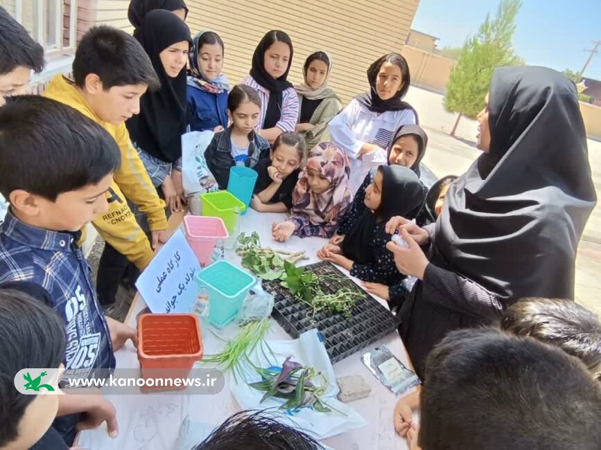 تمرین برای سبز زندگی کردن