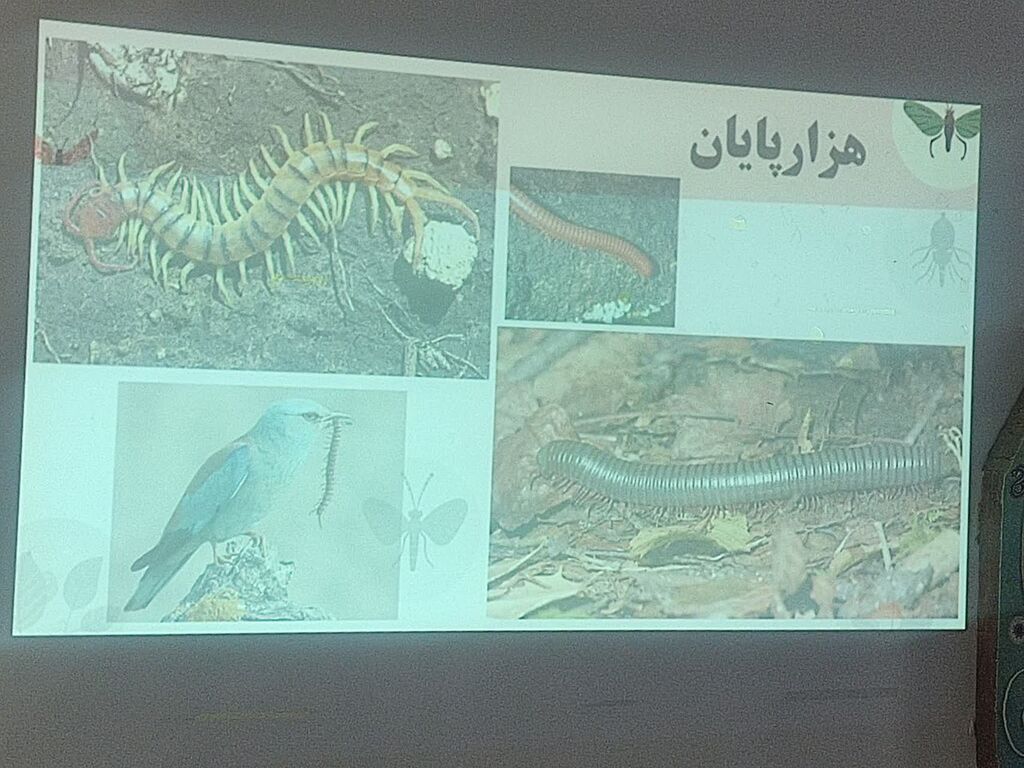 مشارکت والدین در برگزاری کارگاه فعالیت علمی زیست شناسی