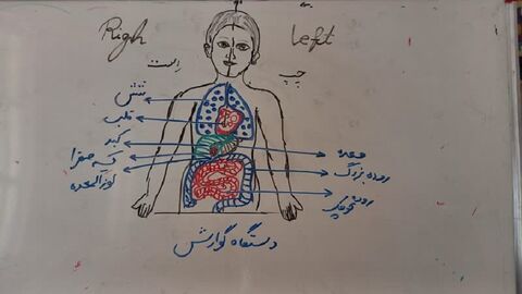 فعالیت های فرهنگی و هنری مراکز کانون استان اصفهان در تابستانی که با شتاب می گذرد