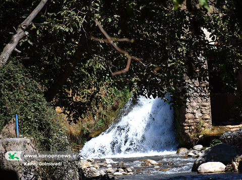 اردوی فرهنگی ورزشی کارکنان کانون لرستان