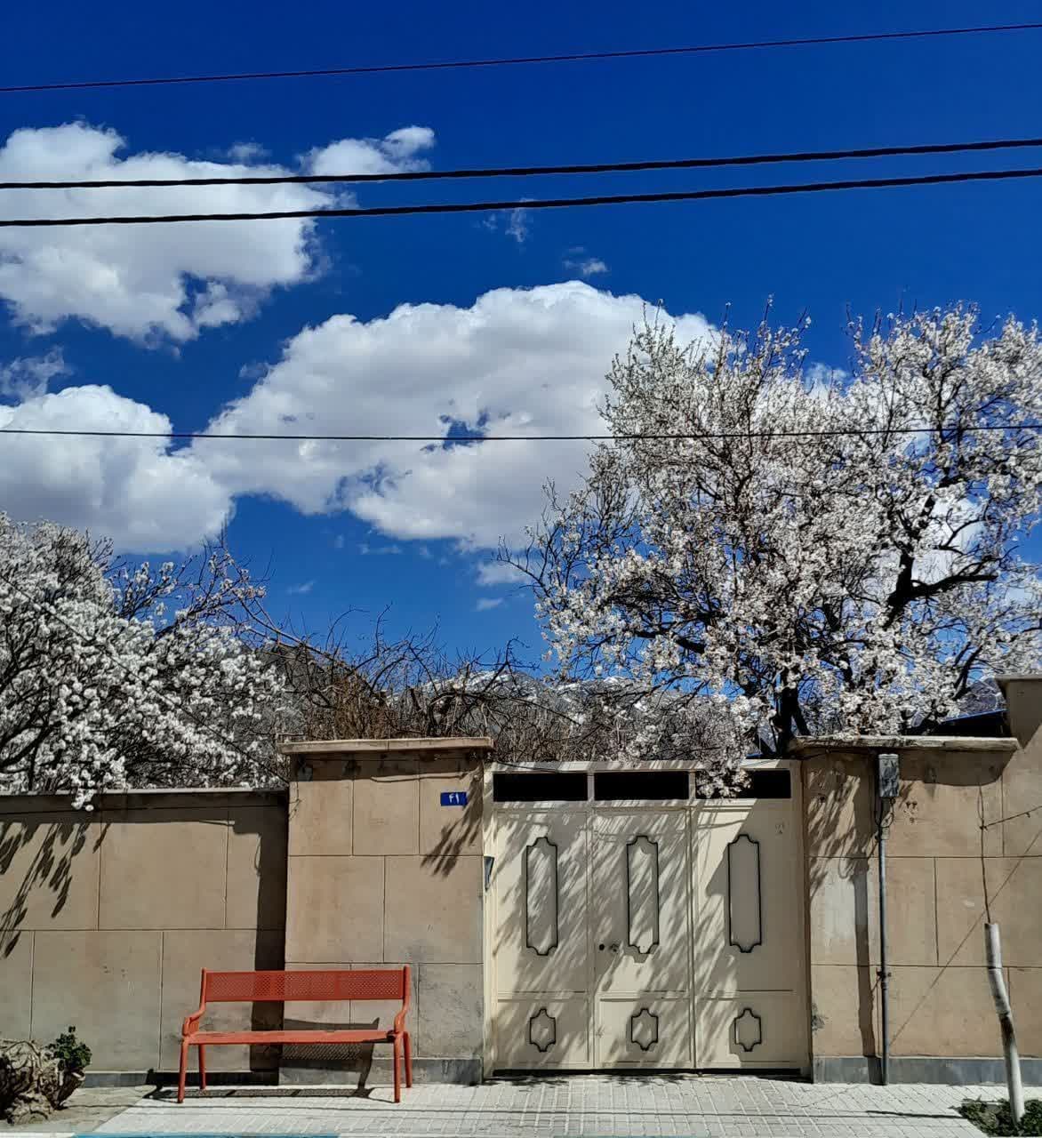 اثر عضو کانون استان مرکزی برگزیده عکس سال شد