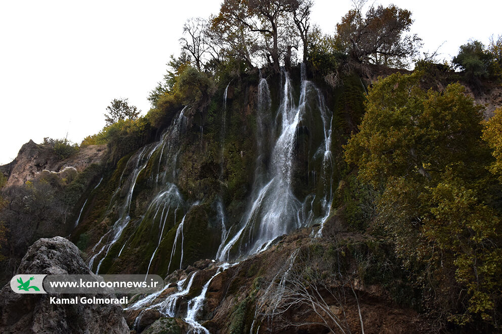 کانون یاران لرستان به اردو رفتند