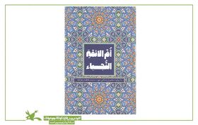 مسابقه کتابخوانی کتاب "ام الائمه النجباء" برگزیدگان خود را شناخت