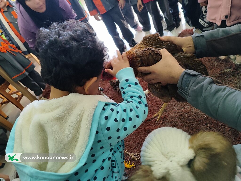 آشنایی اعضای مرکز فرهنگی هنری سیسخت با حیات وحش