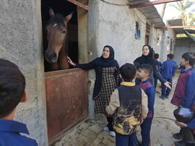 اردوی علمی اعضا مرکز جم