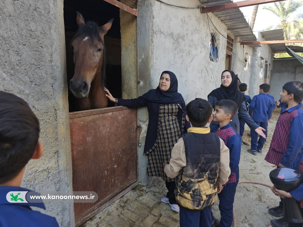 اردوی علمی اعضا مرکز جم