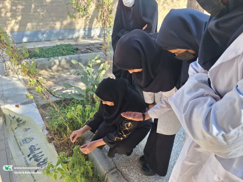 هفتهی پژوهش در مراکز فرهنگیهنری کانون پرورش فکری سیستان و بلوچستان