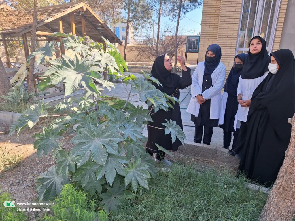 هفتهی پژوهش در مراکز فرهنگیهنری کانون پرورش فکری سیستان و بلوچستان