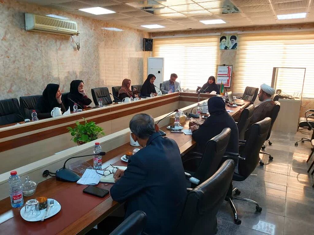 نخستین نشست کمیته کودک و نوجوان دهه فجر استان هرمزگان نخستین نشست کمیته کودک و نوجوان دهه فجر استان هرمزگان برگزار شد