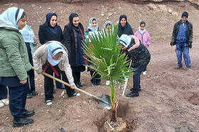 کودکان و نوجوانان عضو کانون منجیل به یاد شهدا نهال کاشتند