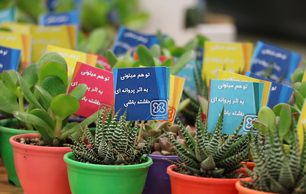 رویداد بین المللی «پروانههای بدون مرز» در کانون کرمان آغاز به کار کرد