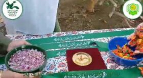 جشن نیمه شعبان در کانون مرکز جاسک