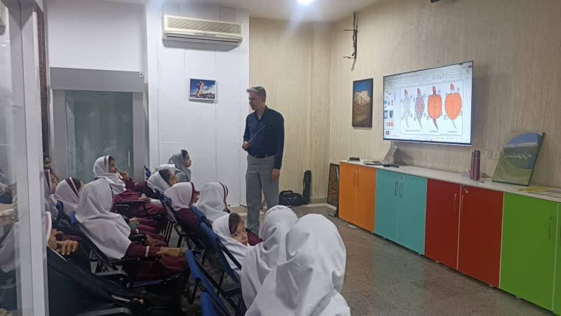 کارگاه آشنایی با لاکپشت های دریایی استان هرمزگان برگزار شد