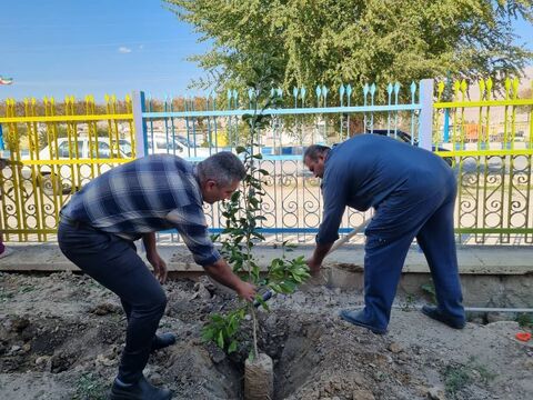 کودکان و نوجوانان، آینده سبز را می‌کارند