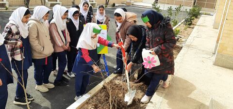 گزارش تصویری گرامی‌داشت روز درخت‌کاری در مراکز فرهنگی و هنری کانون استان قزوین