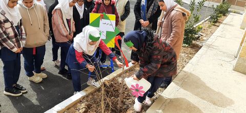 گزارش تصویری گرامی‌داشت روز درخت‌کاری در مراکز فرهنگی و هنری کانون استان قزوین