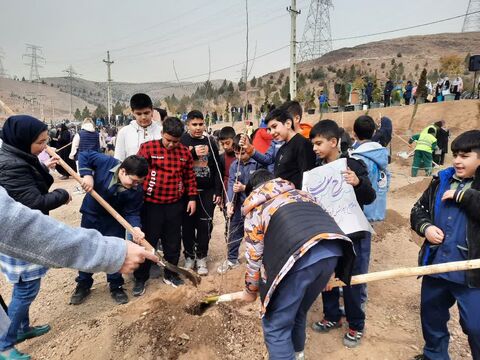 سفیران سبز کانون البرز