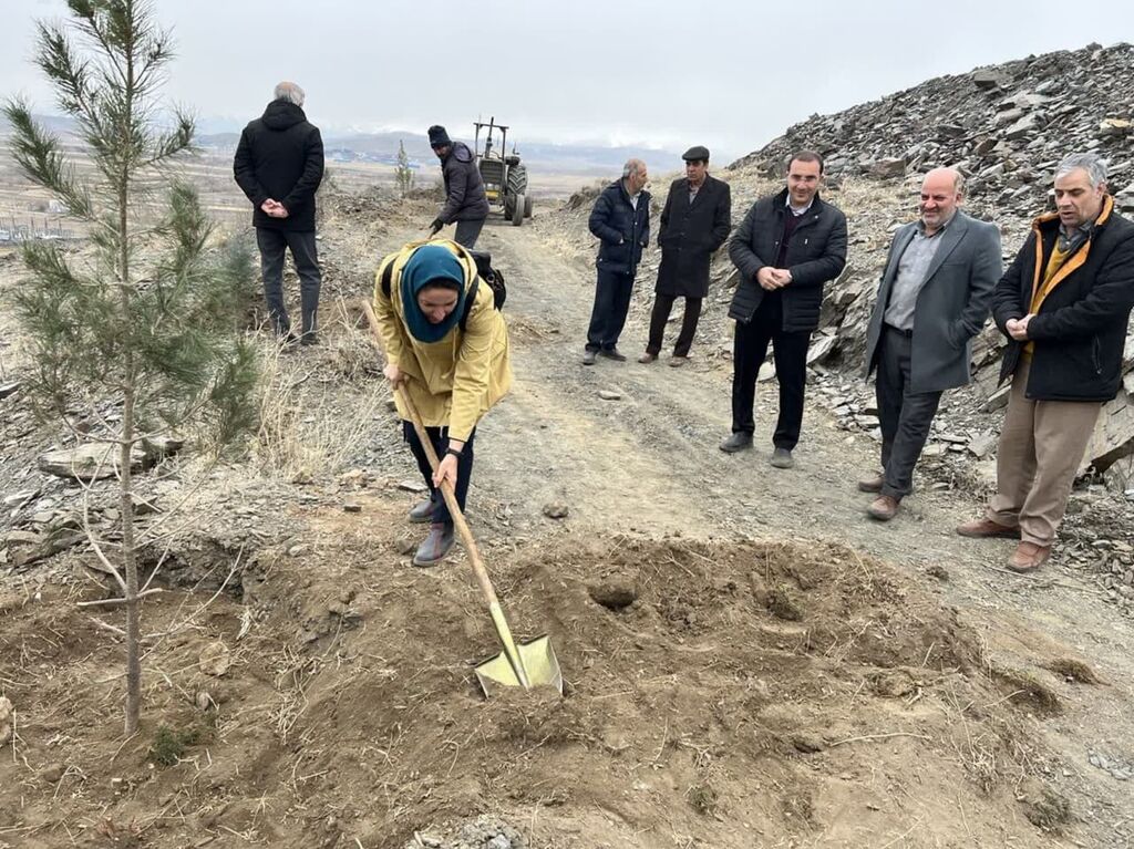 از برگزاری برنامه ادبی اسفندانه تا کاشت درخت در مراکز همدان