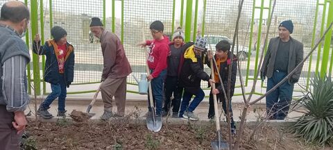 روز درخت‌کاری در مراکز فرهنگی و هنری کانون استان اصفهان