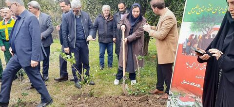 روز درختکاری با چاشنی «آسنی» در مازندران