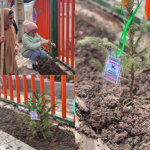 روز درختکاری با چاشنی «آسنی» در مازندران