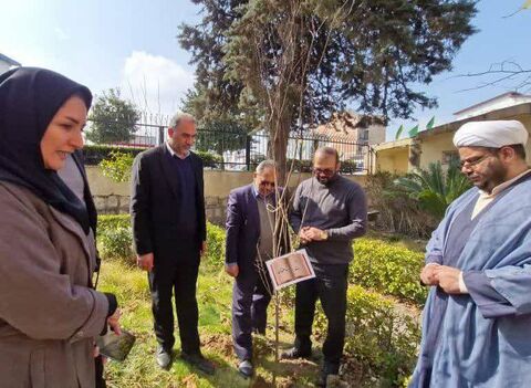 روز درختکاری با چاشنی «آسنی» در مازندران