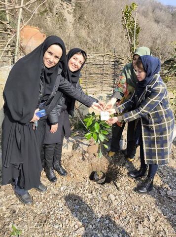 روز درختکاری با چاشنی «آسنی» در مازندران