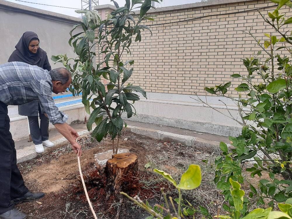 ترویج مسئولیتپذیری زیستمحیطی در نسل کودک و نوجوان