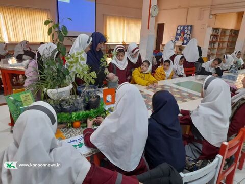 درختکاری اعضای کانون پرورش فکری لرستان