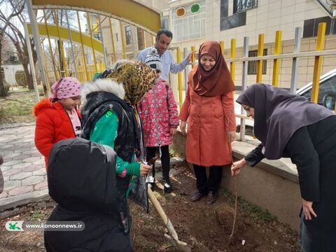 درختکاری اعضای کانون پرورش فکری لرستان