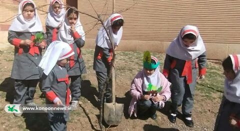 درختکاری اعضای کانون پرورش فکری لرستان