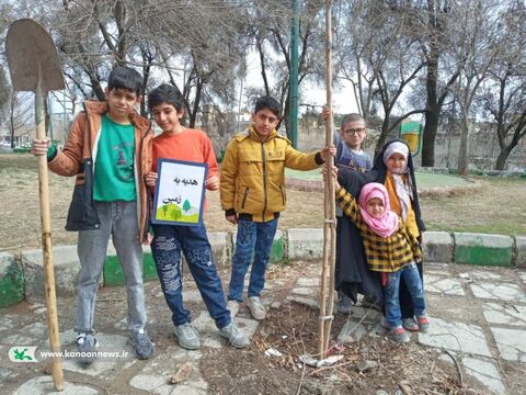 درختکاری اعضای کانون پرورش فکری لرستان