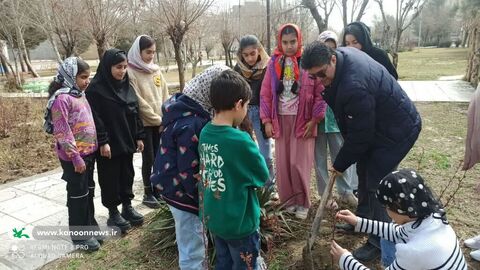 درختکاری اعضای کانون پرورش فکری لرستان