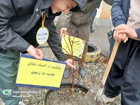 اجرای طرح سفیران سبز در کردستان همزمان با روز درختکاری