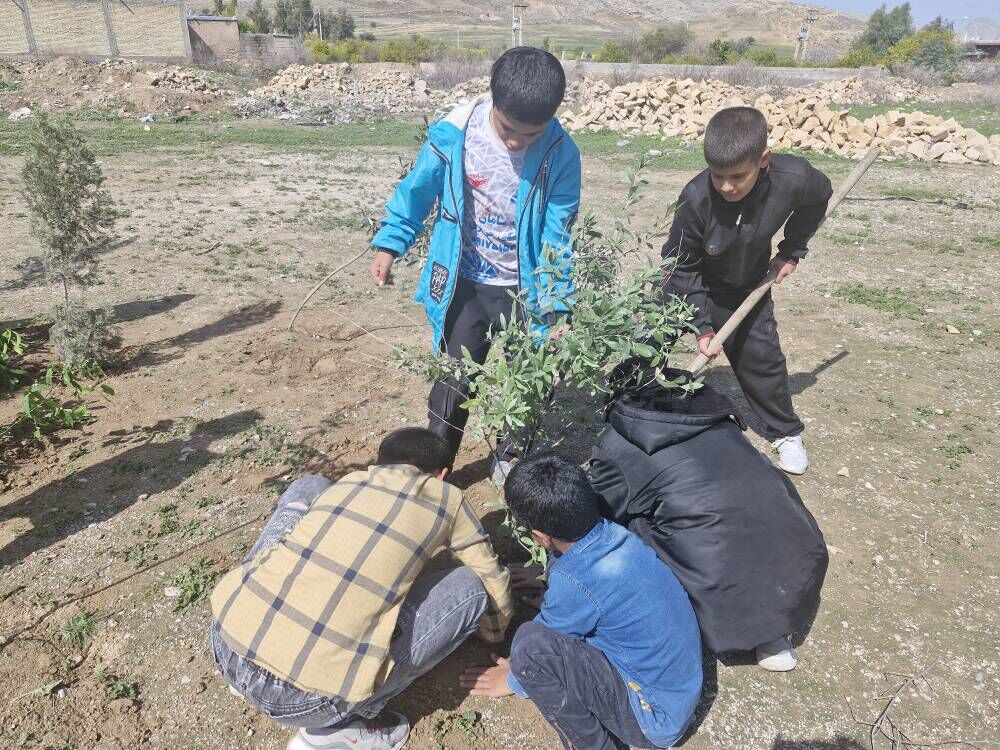 کاشت ۱۰۰ اصله نهال توسط کتابخانه سیار روستایی دهدشت 
