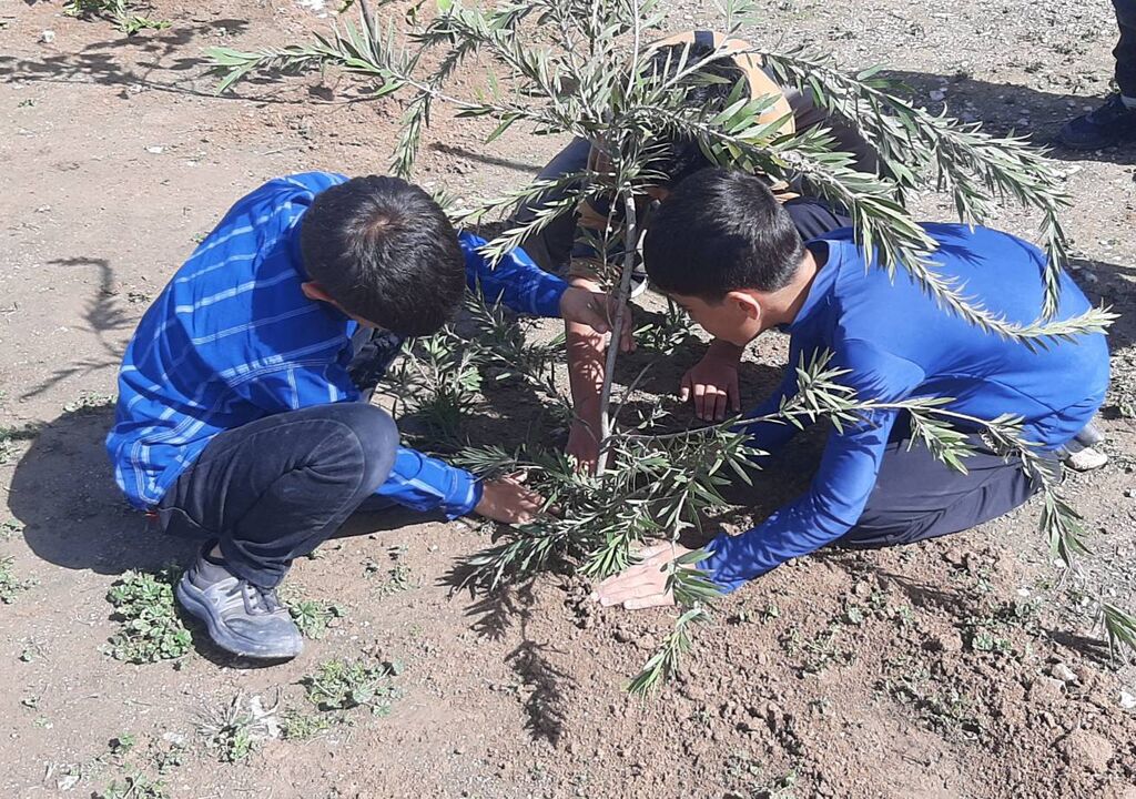 کاشت ۱۰۰ اصله نهال توسط کتابخانه سیار روستایی دهدشت 
