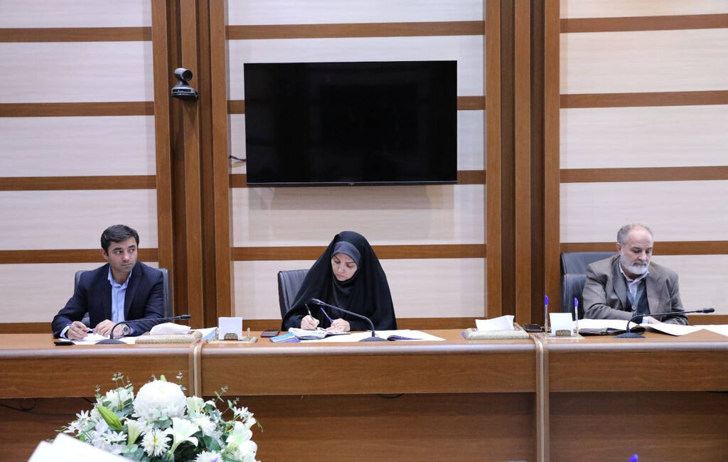 پیشنویس سند ملی صنعت اسباببازی بررسی شد