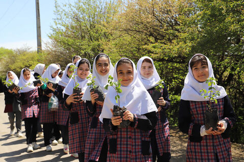 نهال‌کاری اعضای کانون نمین در جنگل فندقلو