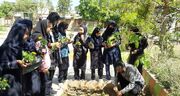 کانونی ها با «کاشت امید»، «سایبانی برای زمین» شدند