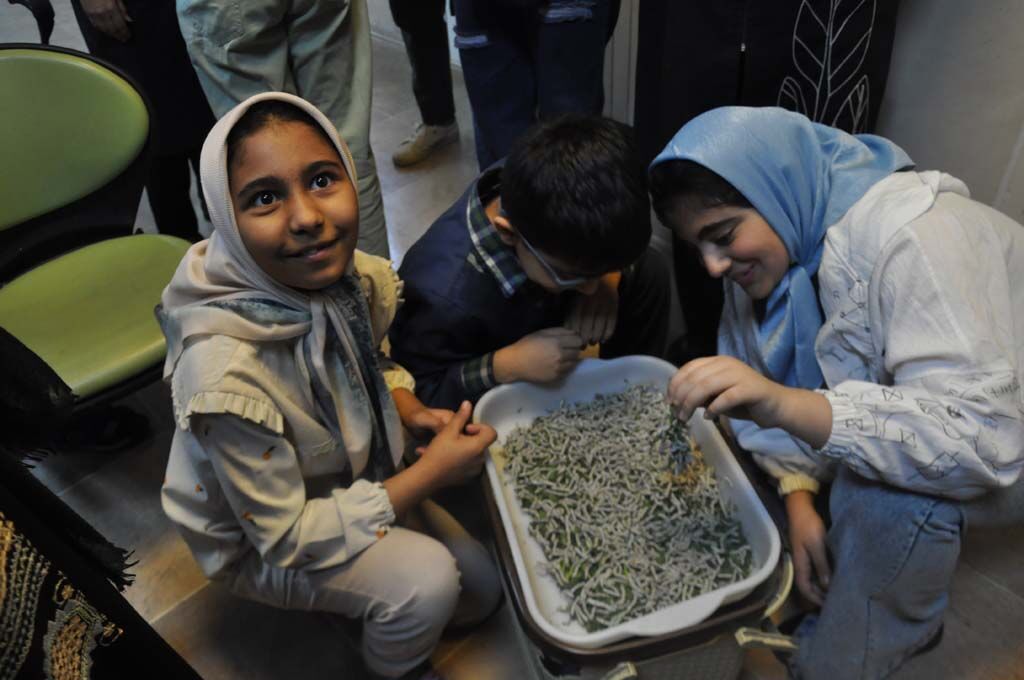 کارگاه پرورش کرم ابریشم در کانون البرز