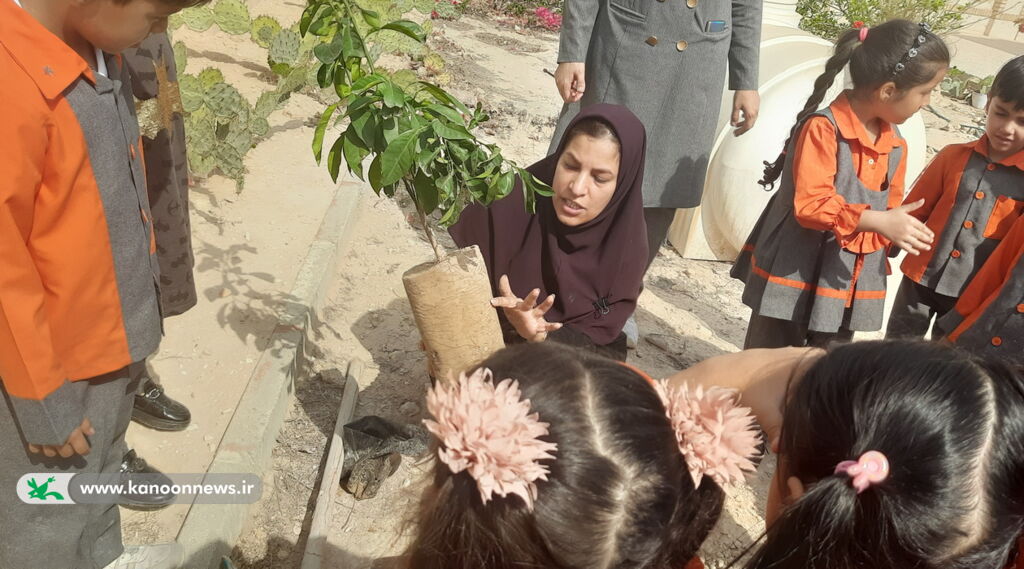 اعضا کانون ساحل عسلویه را پاکسازی کردند