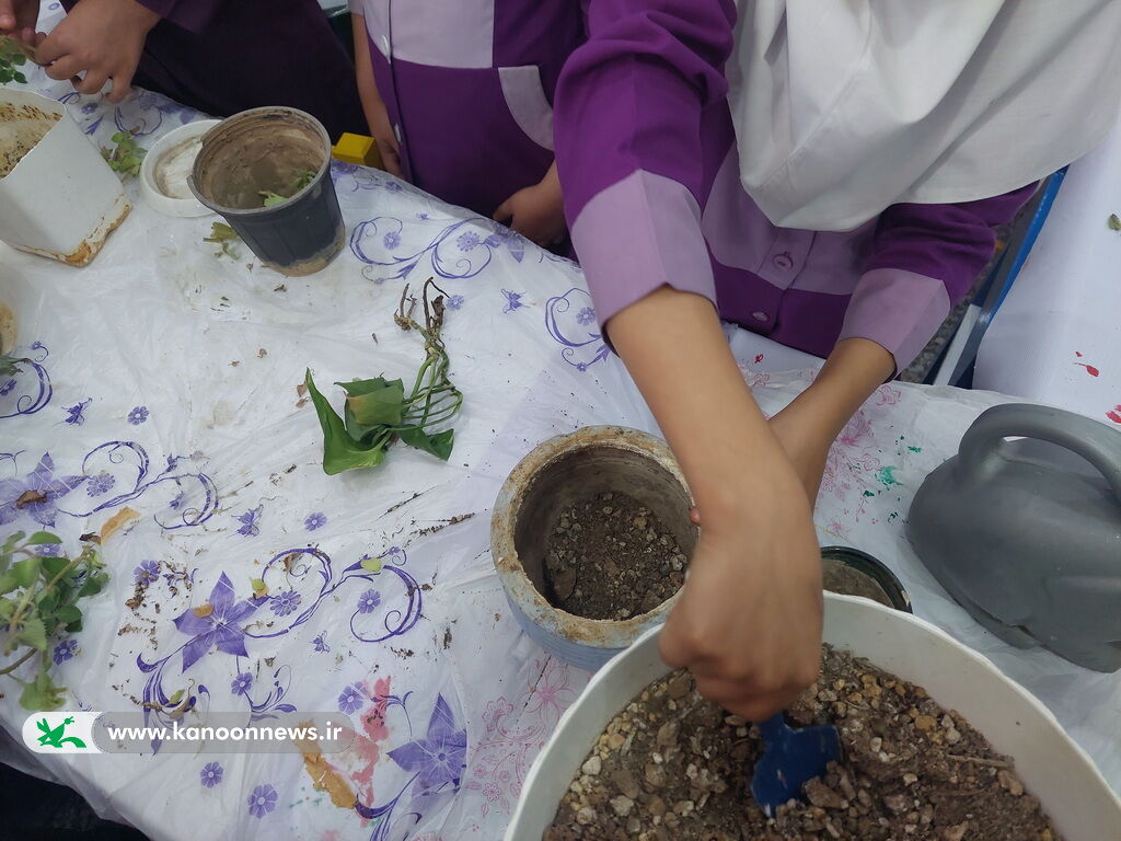 روز گیاهآوری در مرکز عالیشهر