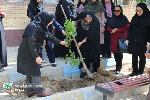 کانون استان بوشهر مروج فرهنگ حفاظت از محیطزیست
