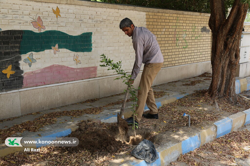 کانون استان بوشهر مروج فرهنگ حفاظت از محیطزیست