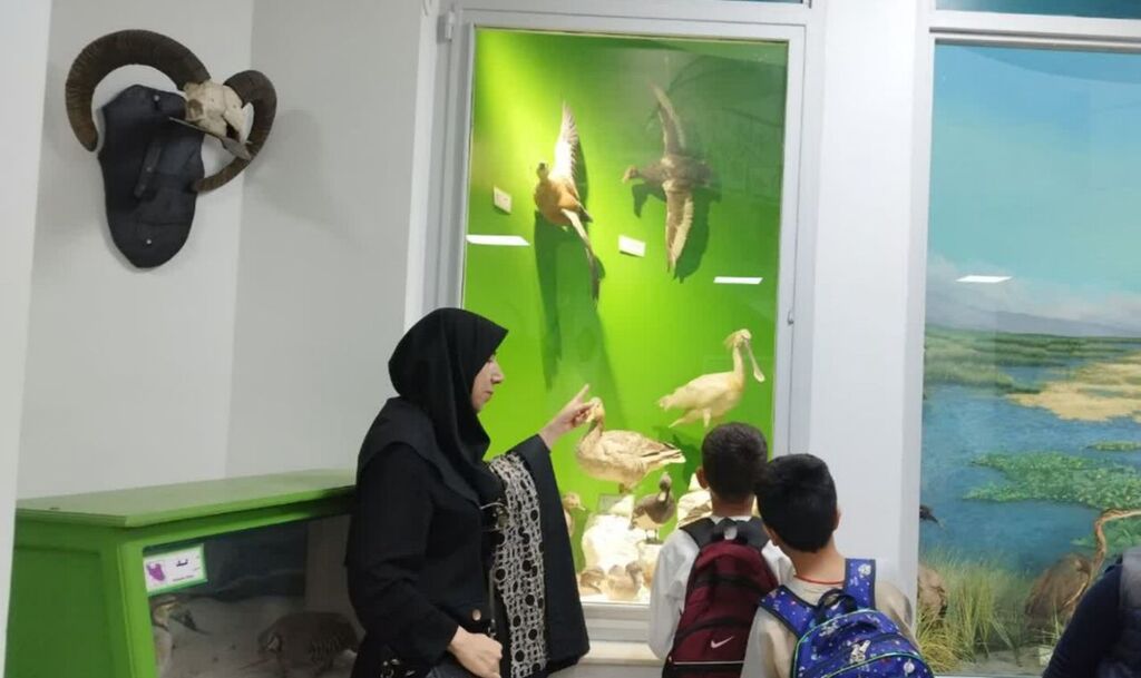 اعضای مرکز شماره ۱۳ از موزه محیط‌زیست استان کرمانشاه بازدید کردند