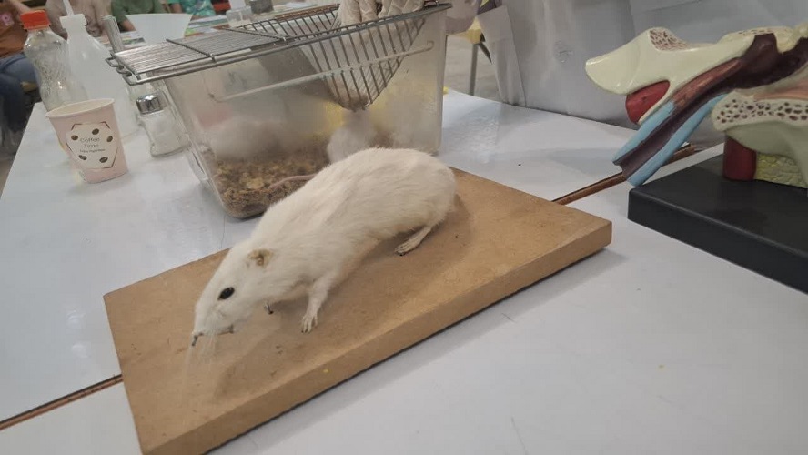 برگزاری کارگاه آموزشی«سفر به دنیای زیست»