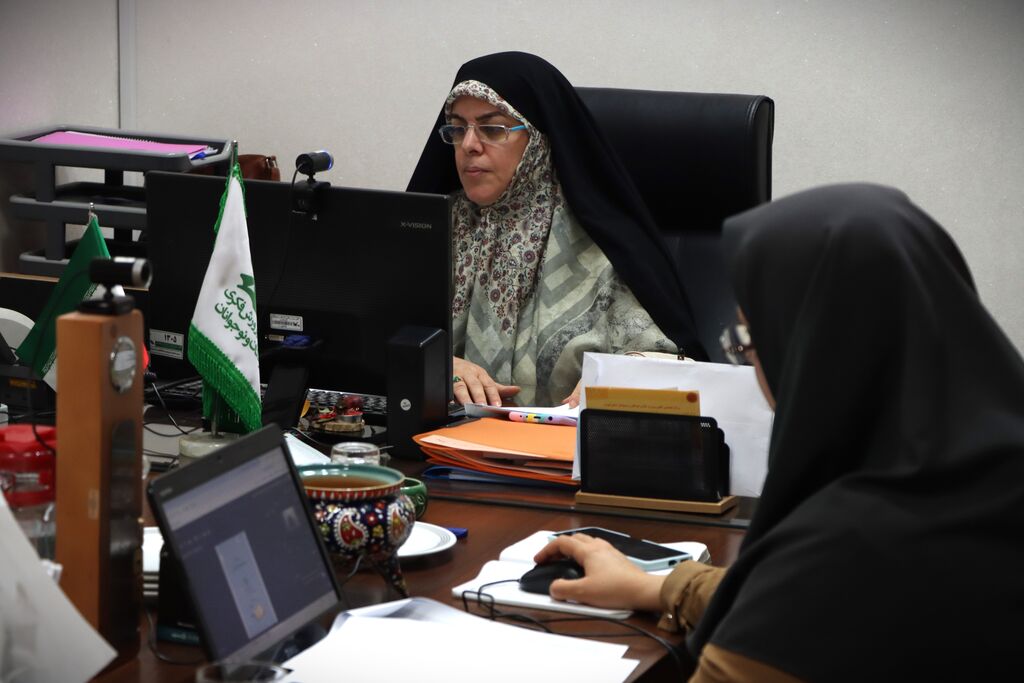 وبینار توجیهی «چارچوب اقدامات تابستان ۱۴۰۴» در استان تهران برگزار شد