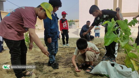 هفته محیط زیست در مراکز کانون استان بوشهر