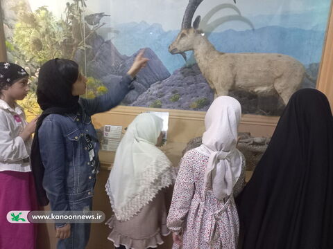هفته محیط زیست در مراکز کانون استان بوشهر
