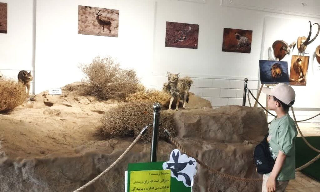 کودکان هم‌صدای طبیعت شدند 